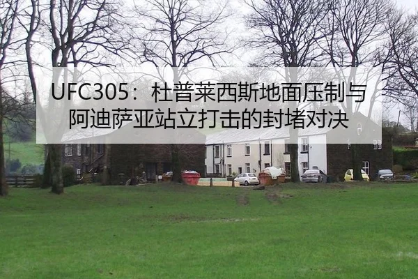 UFC305：杜普莱西斯地面压制与阿迪萨亚站立打击的封堵对决