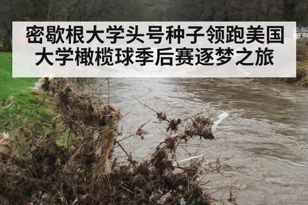 密歇根大学头号种子领跑美国大学橄榄球季后赛逐梦之旅