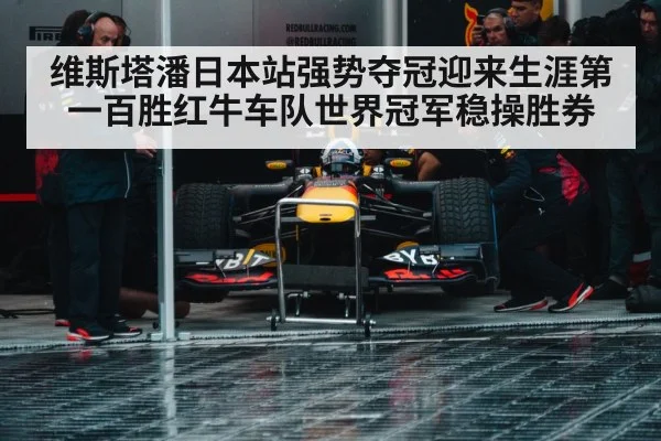Red Bull racing team